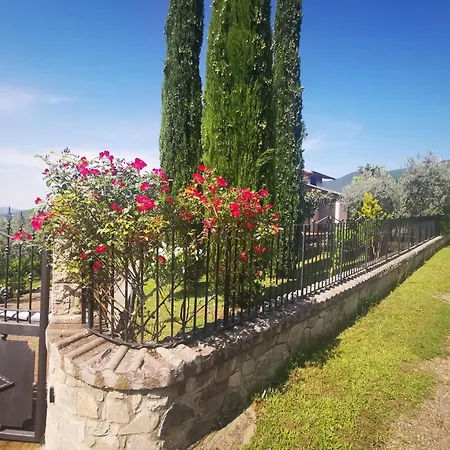 Delle Rose Montecchio